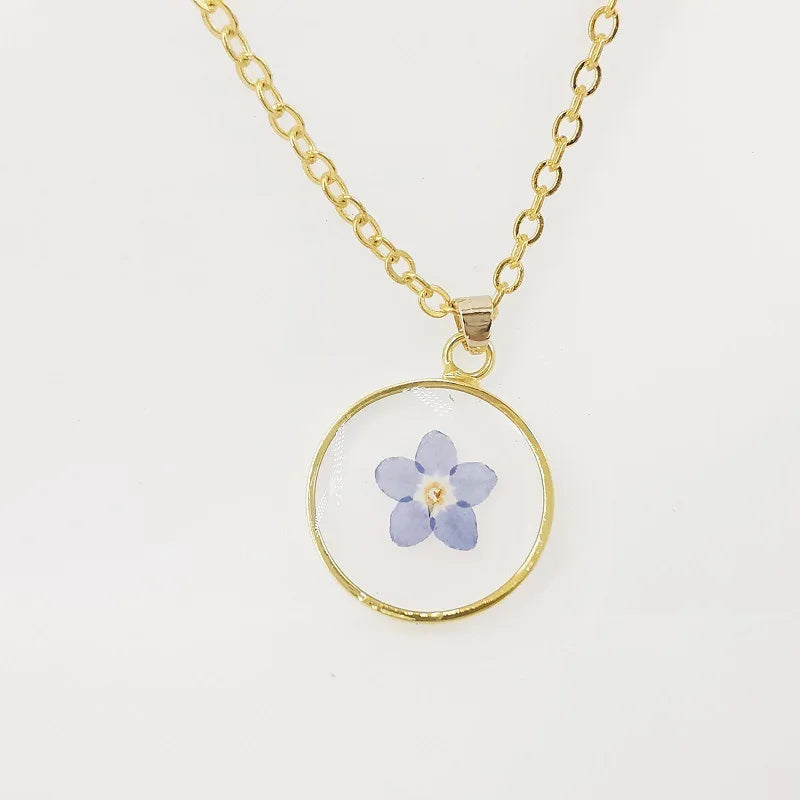 Collier Fleur Séchée - Myosotis