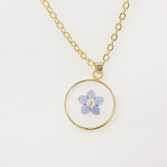 Collier Fleur Séchée - Myosotis